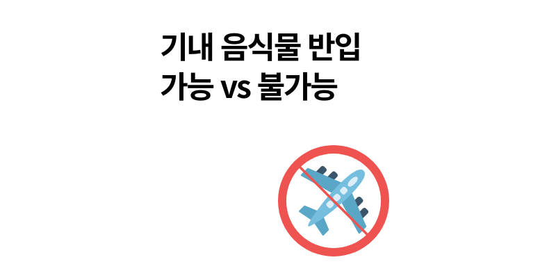 비행기 기내 음식물 반입 가능 vs 불가능 종류