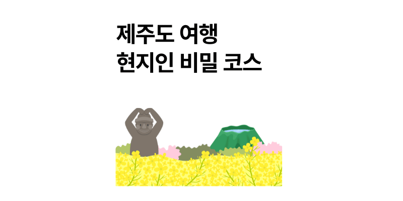 제주 이렇게 여행하면 200% 성공 2025년 현지인 비밀 코스