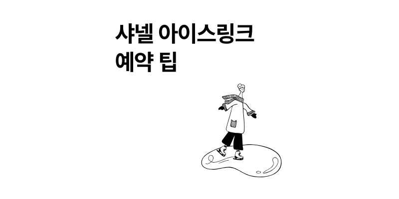 잠실 샤넬 아이스링크 예약 방법 2025 가격 후기