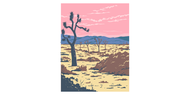 LA 조슈아트리 투어 vs 렌트카 장단점 비교 당일치기 코스