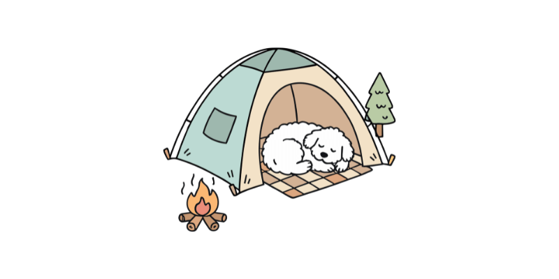 반려견 동반 국립자연휴양림 추천 3곳 숲나들e 예약 성공팁